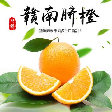 赣州脐橙（果径55-70mm净重9斤）