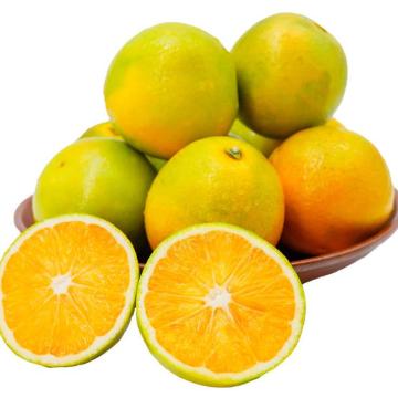 湖南麻阳冰糖橙（果径60-65mm 净重5斤）