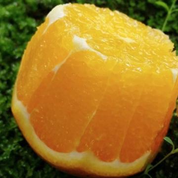 湖南麻阳冰糖橙（55-60mm 净重5斤）